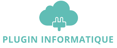 PLUGIN INFORMATIQUE